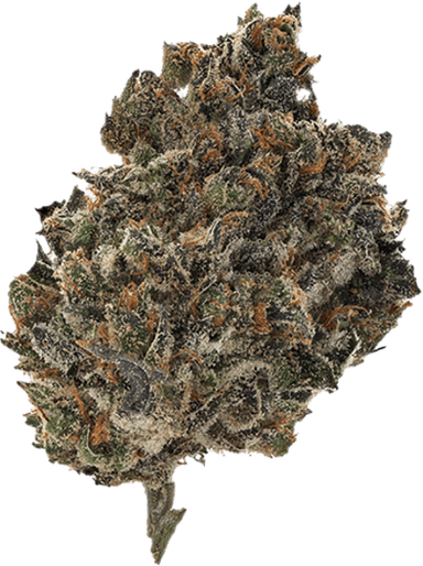 Miracle Fruit